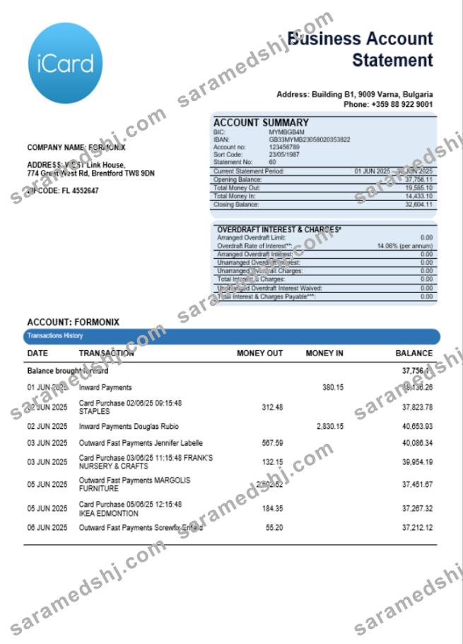 iCard business bank statement Word and PDF format